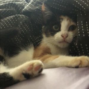 Meet your Posher, Haley